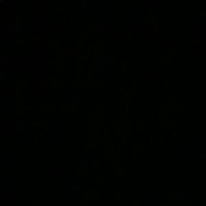 Meet your Posher, Cecilia